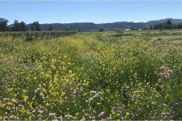 Parcela de agrado 5.000 m² en la patagua