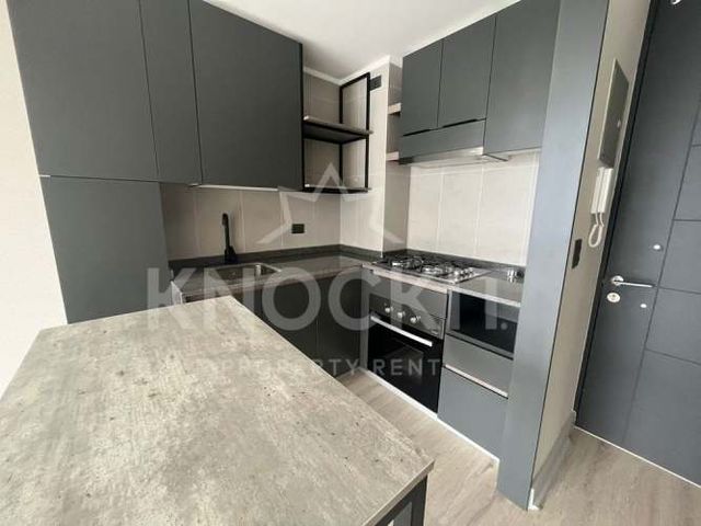 DEPARTAMENTO Rupanco 120