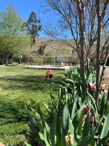 PARCELA Condominio El Tranque