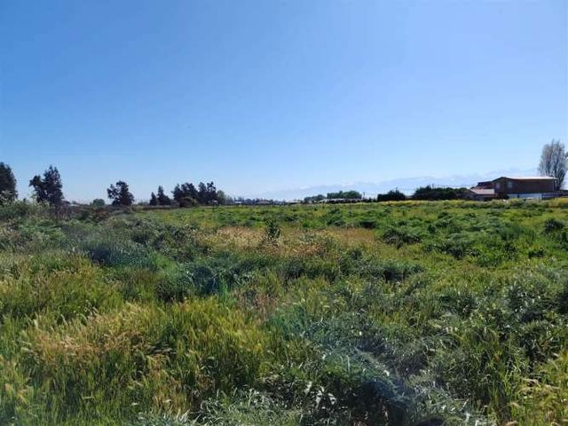 PARCELA CAMINO LUIS CRUZ MARTINEZ