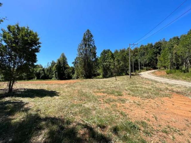 VENTA TERRENO - SITIO 5000MTS Valdivia