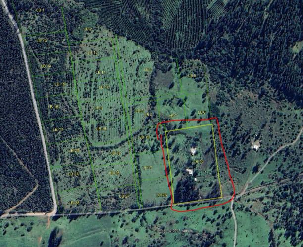 Terreno 2 ha, árboles frutas, luz y agua