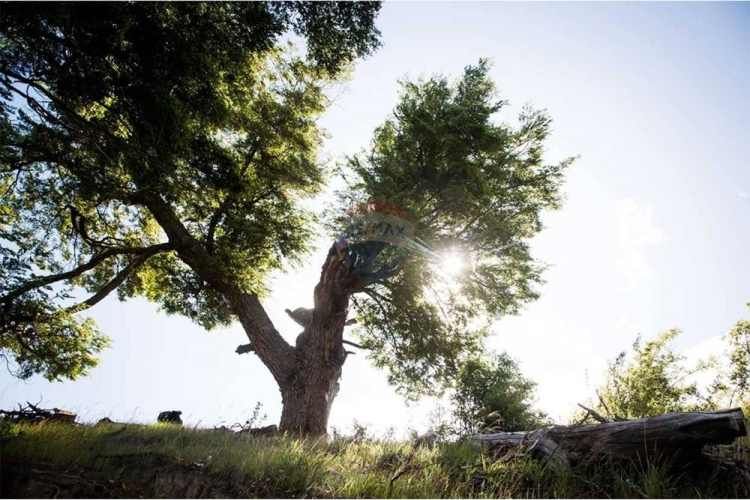 ¡parcela de agrado en aisén con vista al baker!