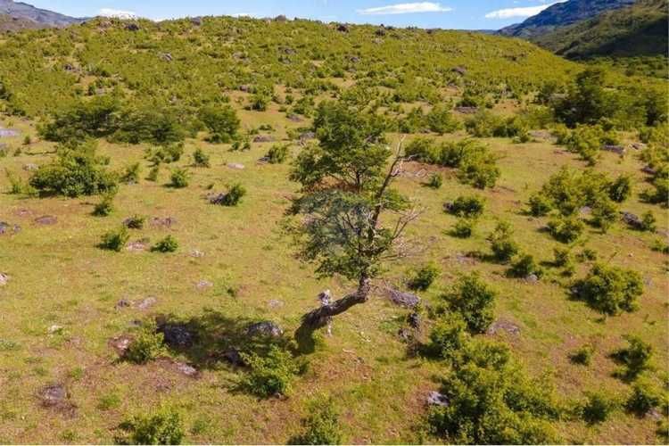 ¡parcela de agrado en aisén con vista al baker!