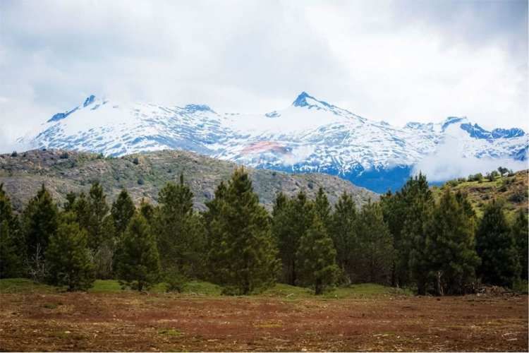 ¡parcela de agrado en aisén con vista al baker!