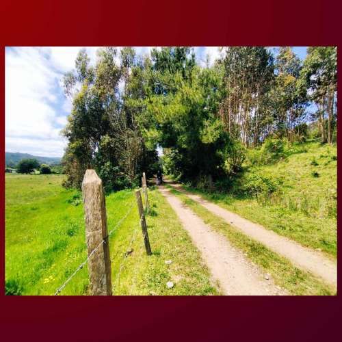 VENDO TERRENO 8.5 HECTAREAS, COMUNA DE CARAHUE. CODIGO #1008