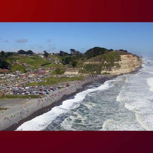 VENDO TERRENO 8.5 HECTAREAS, COMUNA DE CARAHUE. CODIGO #1008