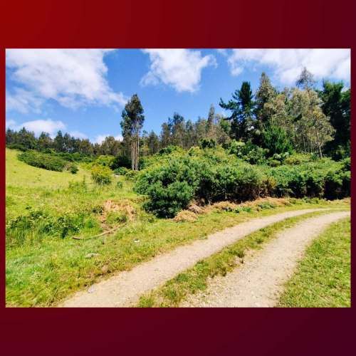 VENDO TERRENO 8.5 HECTAREAS, COMUNA DE CARAHUE. CODIGO #1008