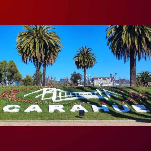 VENDO TERRENO 8.5 HECTAREAS, COMUNA DE CARAHUE. CODIGO #1008