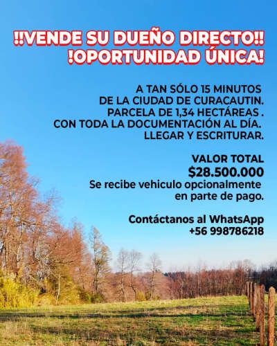 PARCELA DE 1,34 HECTÁREAS, A 15 MINUTOS DE CURACAUTIN, RADALCO.