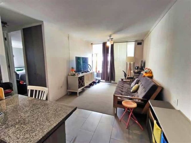 DEPARTAMENTO Recreo 250