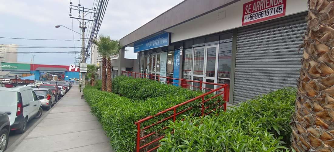 LOCAL COMERCIAL / OFICINA