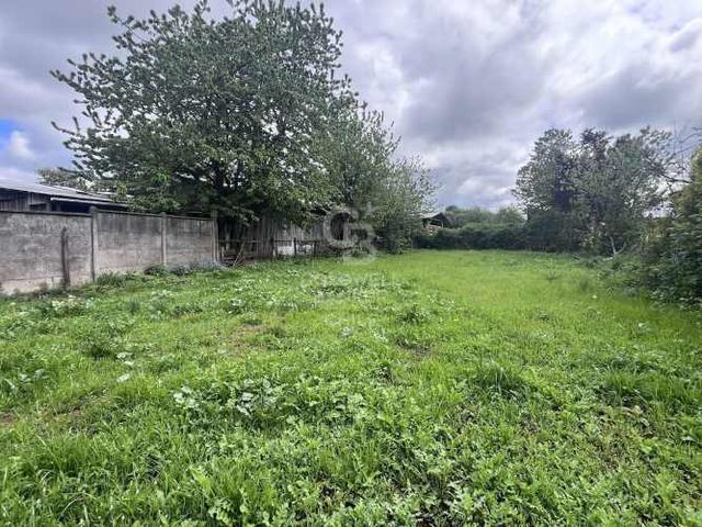 Sitio para Invertir en el Centro de Río Bueno.