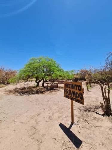 VENDE - TERRENO TULOR 9.000M2