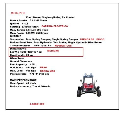 GOKART BUGGY  ( 125CC )