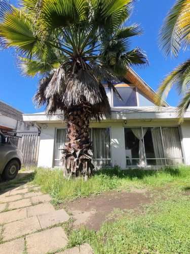 Oportunidad propiedad muy central (123647)