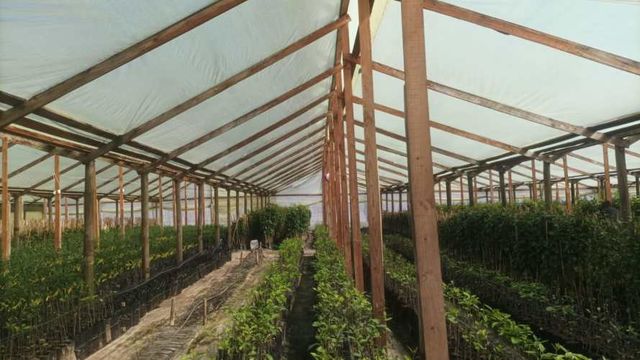 MAESTRO en Talagante Camino Lonquen Sur