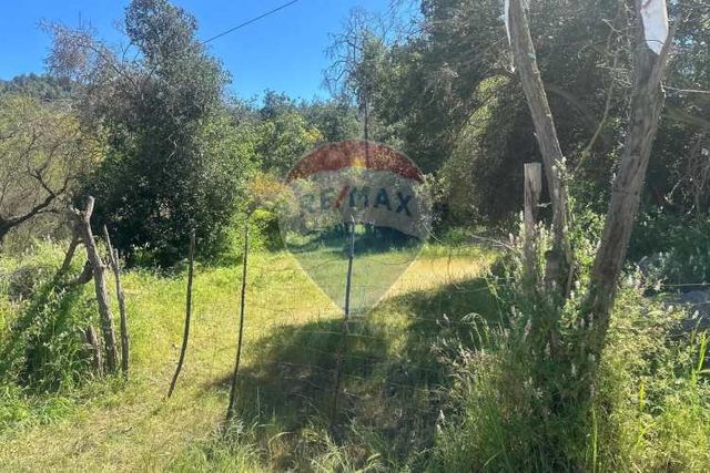 Parcela en venta: laguna aculeo