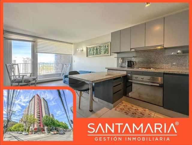 DEPARTAMENTO Salas, Concepción