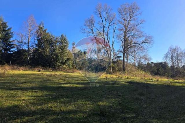 Paz y privacidad en tu parcela soñada.