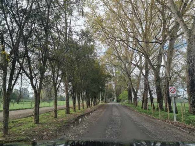 PARCELA Venta Parcela Loteo Bosques del Tijeral Osorno