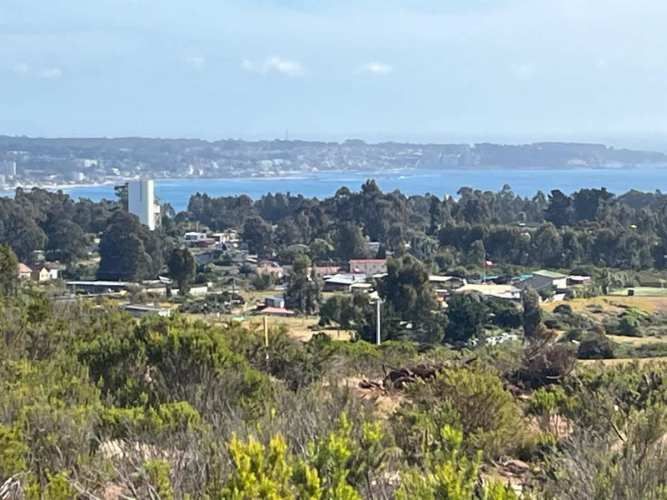 SITIO MIRASOL ALGARROBO