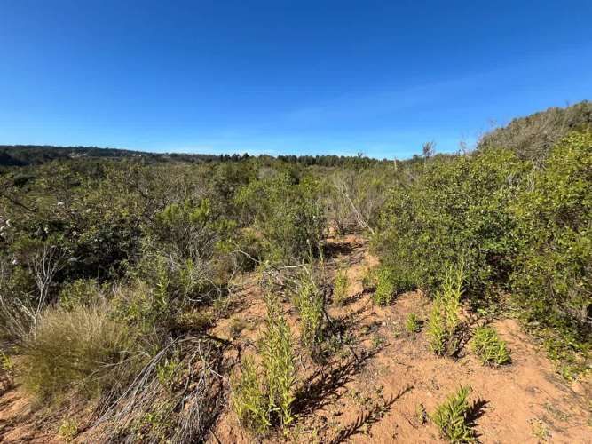 SITIO MIRASOL ALGARROBO