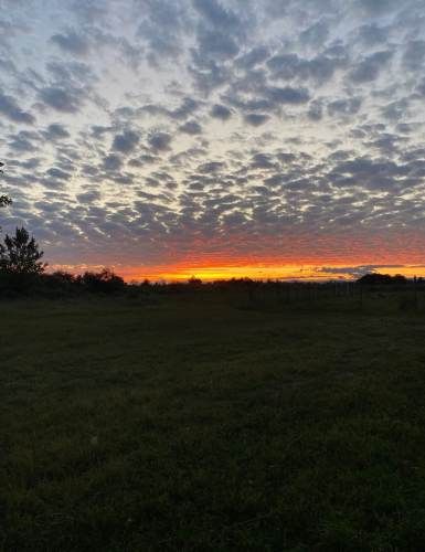 VENTA PARCELA 5150 M, SECTOR MONTELEON SAN NICOLÁS