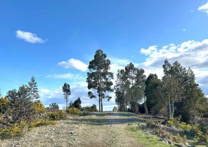 GRAN OPORTUNIDAD VENTA DE PARCELA,PIEDRA AZUL