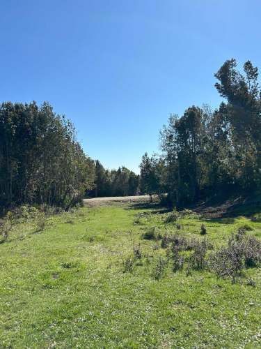 GRAN OPORTUNIDAD VENTA DE PARCELA,PIEDRA AZUL