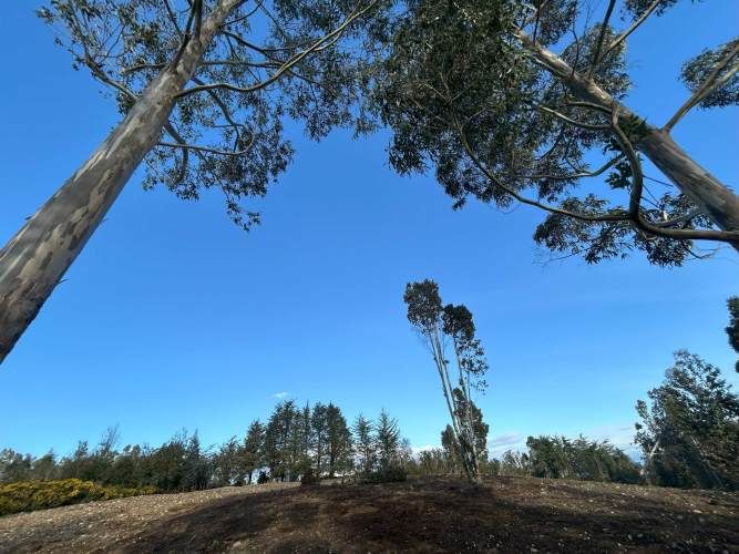 GRAN OPORTUNIDAD VENTA DE PARCELA,PIEDRA AZUL