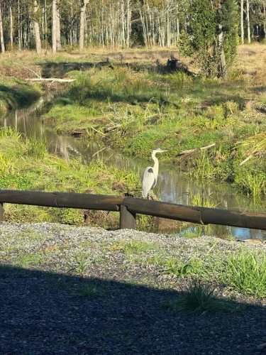 VENDE 2,5 HECTÁREAS C/CASA CERCANO A TEMUCO. -