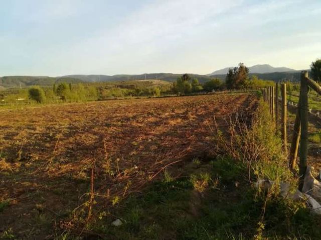 1 Ha, Terreno Agrícola Urbanizado - El Boldal, Curicó (vinos, ríos y cordillera a 2 hrs de Stgo.)