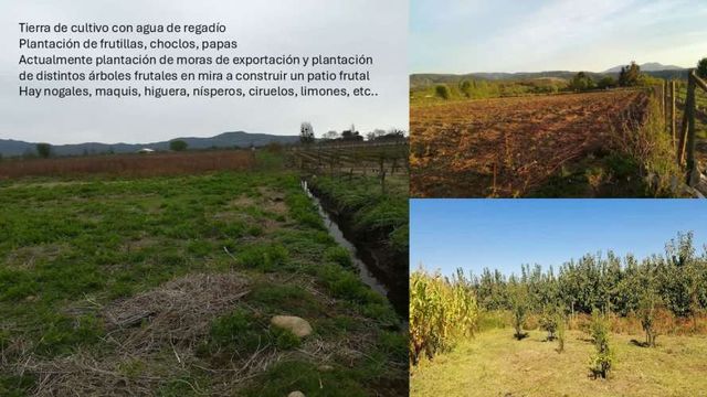 1 Ha, Terreno Agrícola Urbanizado - El Boldal, Curicó (vinos, ríos y cordillera a 2 hrs de Stgo.)