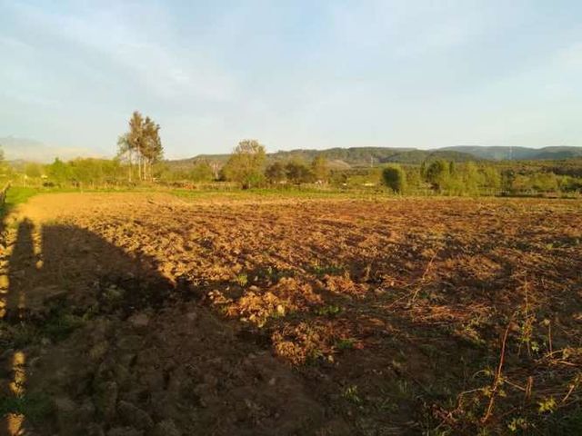 1 Ha, Terreno Agrícola Urbanizado - El Boldal, Curicó (vinos, ríos y cordillera a 2 hrs de Stgo.)