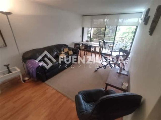 DEPARTAMENTO Vicuña makena