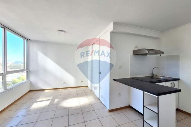 Departamento tipo estudio (1 ambiente)