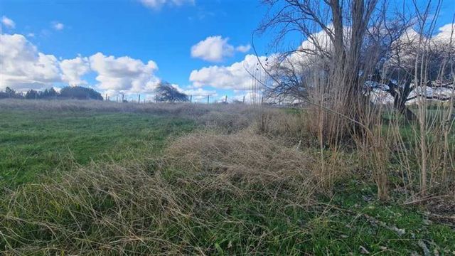 SITIO Mirador Bio Bio con ruta 5 sur