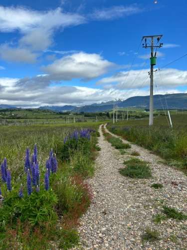 VENTA PARCELA 5000MTS Coyhaique