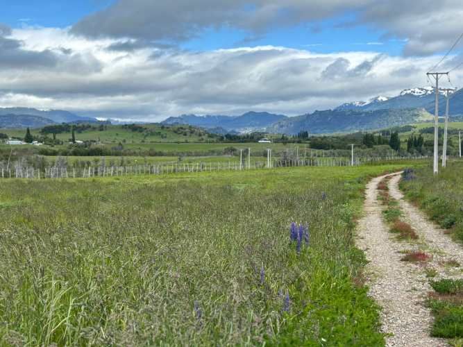 VENTA PARCELA 5000MTS Coyhaique