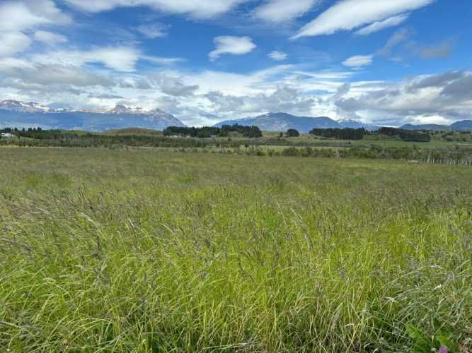 VENTA PARCELA 5000MTS Coyhaique