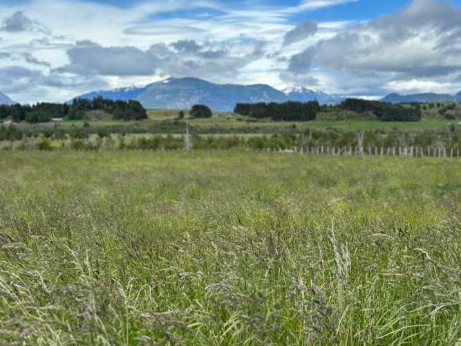 VENTA PARCELA 5000MTS Coyhaique