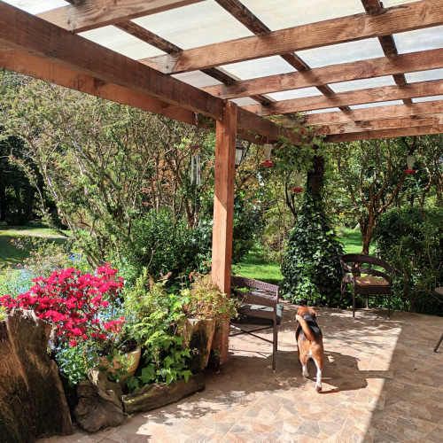 Vendo linda casa inserta en la naturaleza de una linda parcela