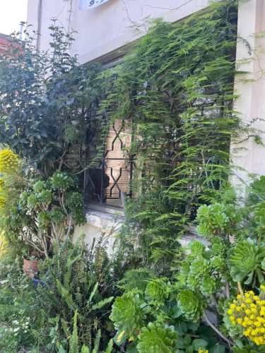 Vendo Casa Comercial en Providencia