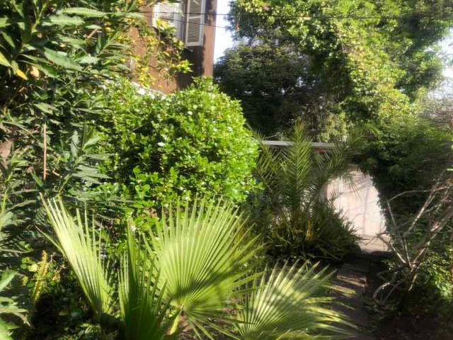 Hermosa Casa 5D 3B pieza y baño de servicio, con maravilloso jardin