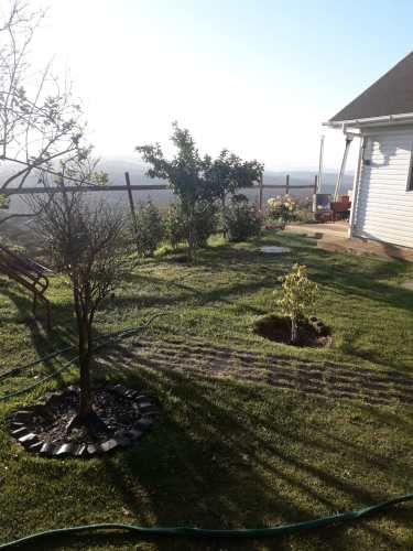 Excelente parcela con amplia casa, piscina, frutales.