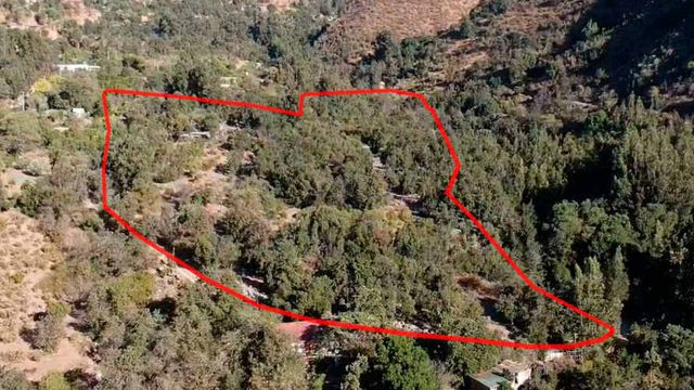 2,4 Hectáreas, El Almendral, La Dormida (124067)