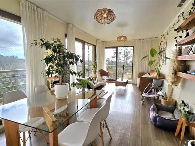 DEPARTAMENTO Camino del Sur, Idahue