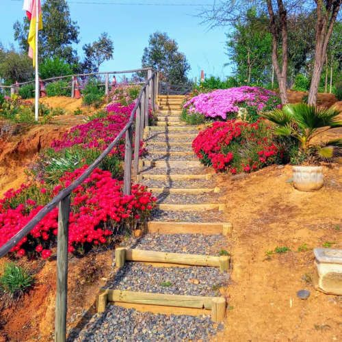 PARCELA Ruta i-578 Ranguil Bajo