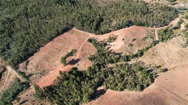 PARCELA enlace Florida ruta del Itata
